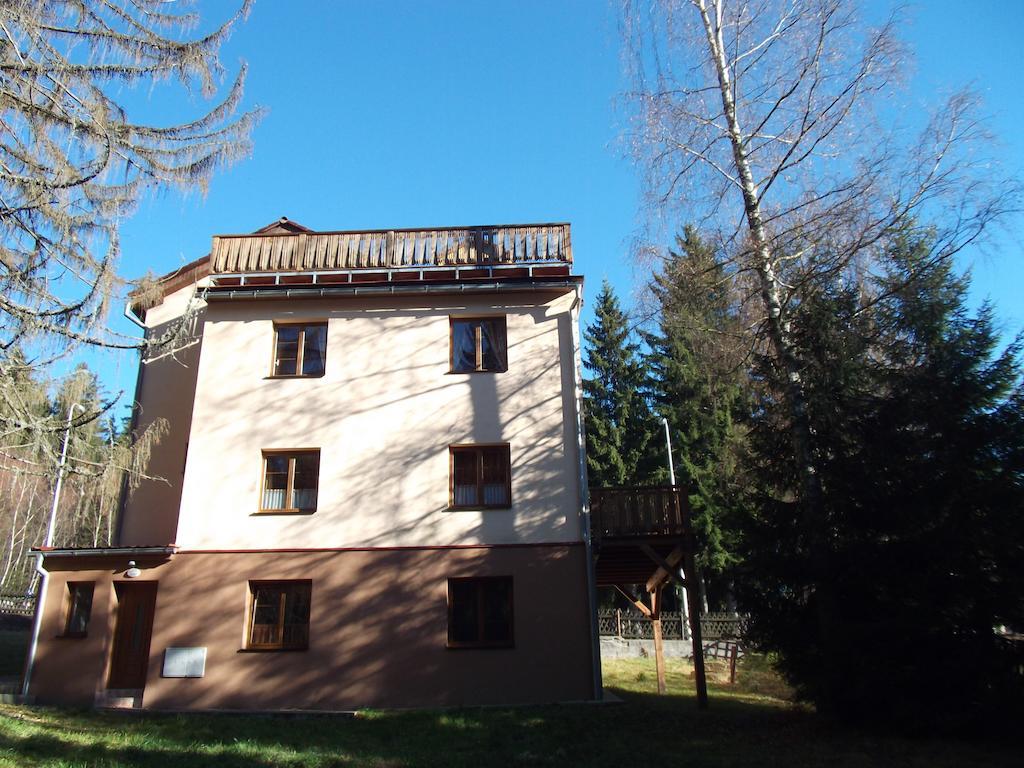 Apartmany Domino Železná Ruda Exteriör bild