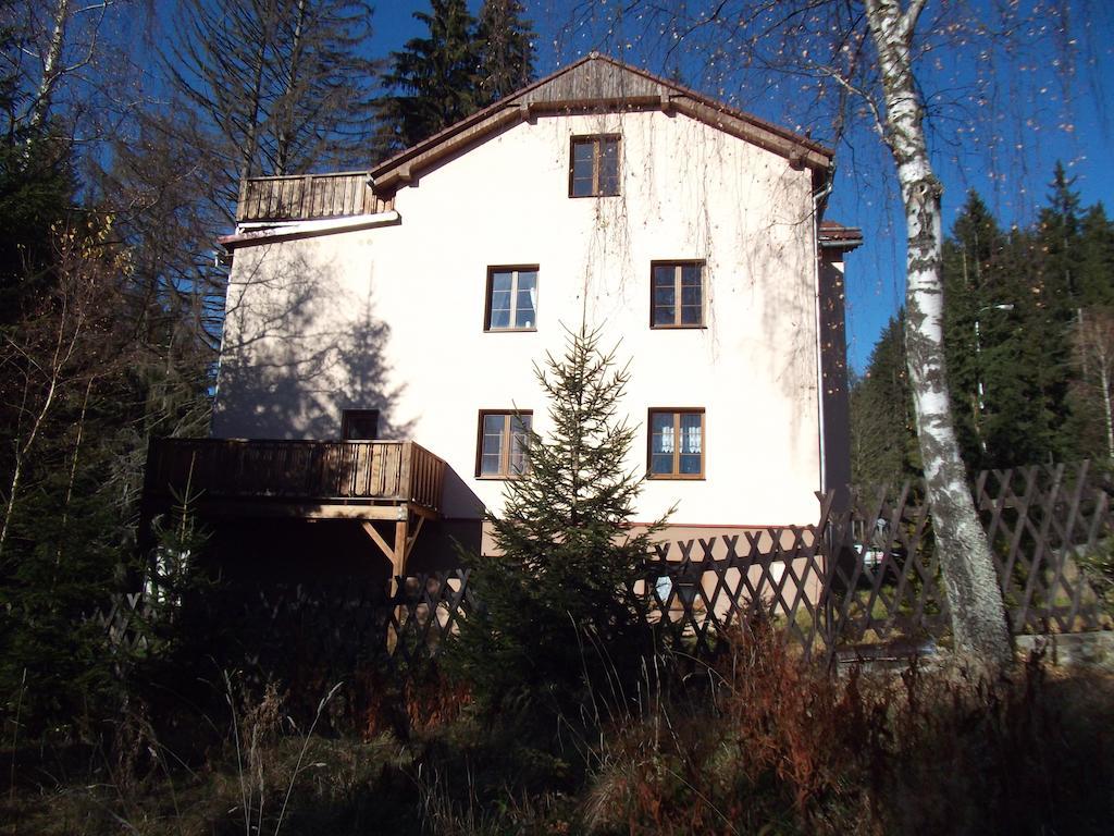 Apartmany Domino Železná Ruda Exteriör bild